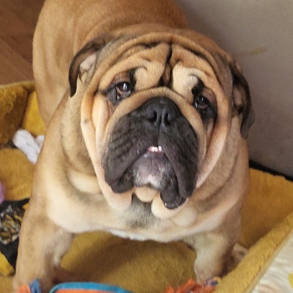 Meet your Posher, Melissa - Picture 1 of 2